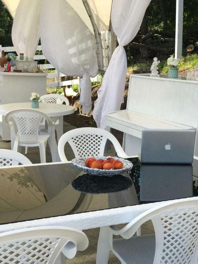 Palm Hotel New Athos Zewnętrze zdjęcie